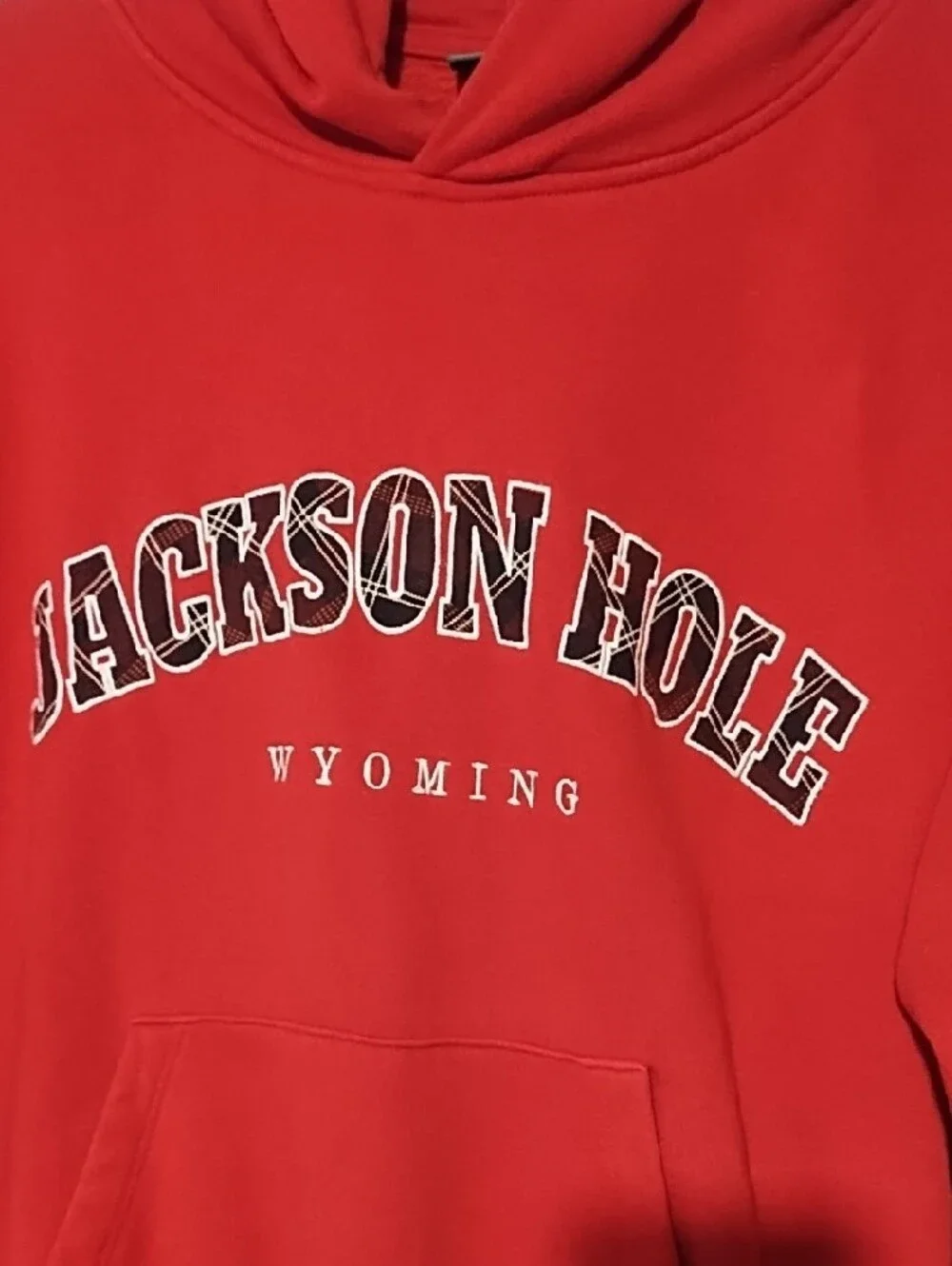 wild fable Red Jackson Hole Graphic Hoodie Unisex Oversized Medium VGC.